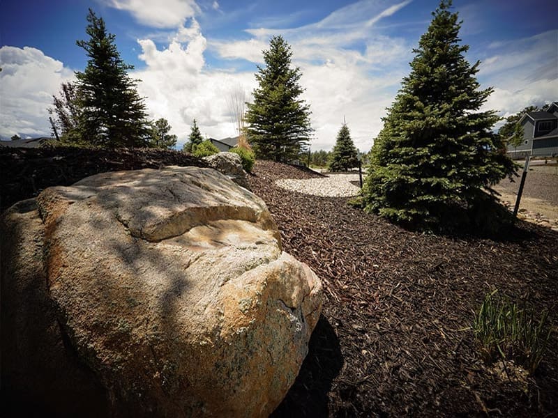 mulch-sod-4